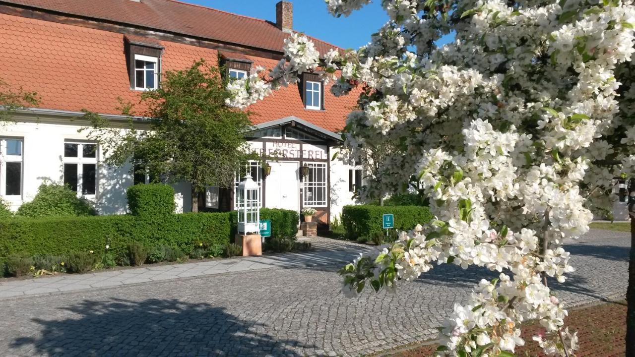 Hotel Alte Foersterei Kloster Zinna Exterior photo